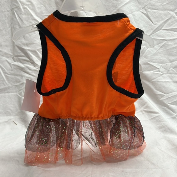 Cutest pumpkin in the patch outfit - Picture 3 of 6